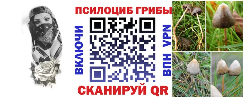 Галлюциногенные грибы GOLDEN TEACHER Славск