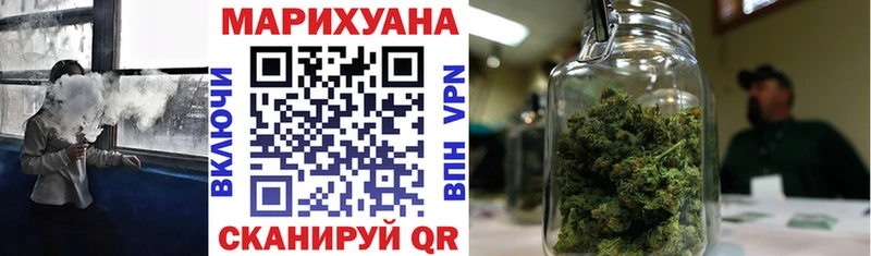Конопля сатива мега tor Славск сколько стоит